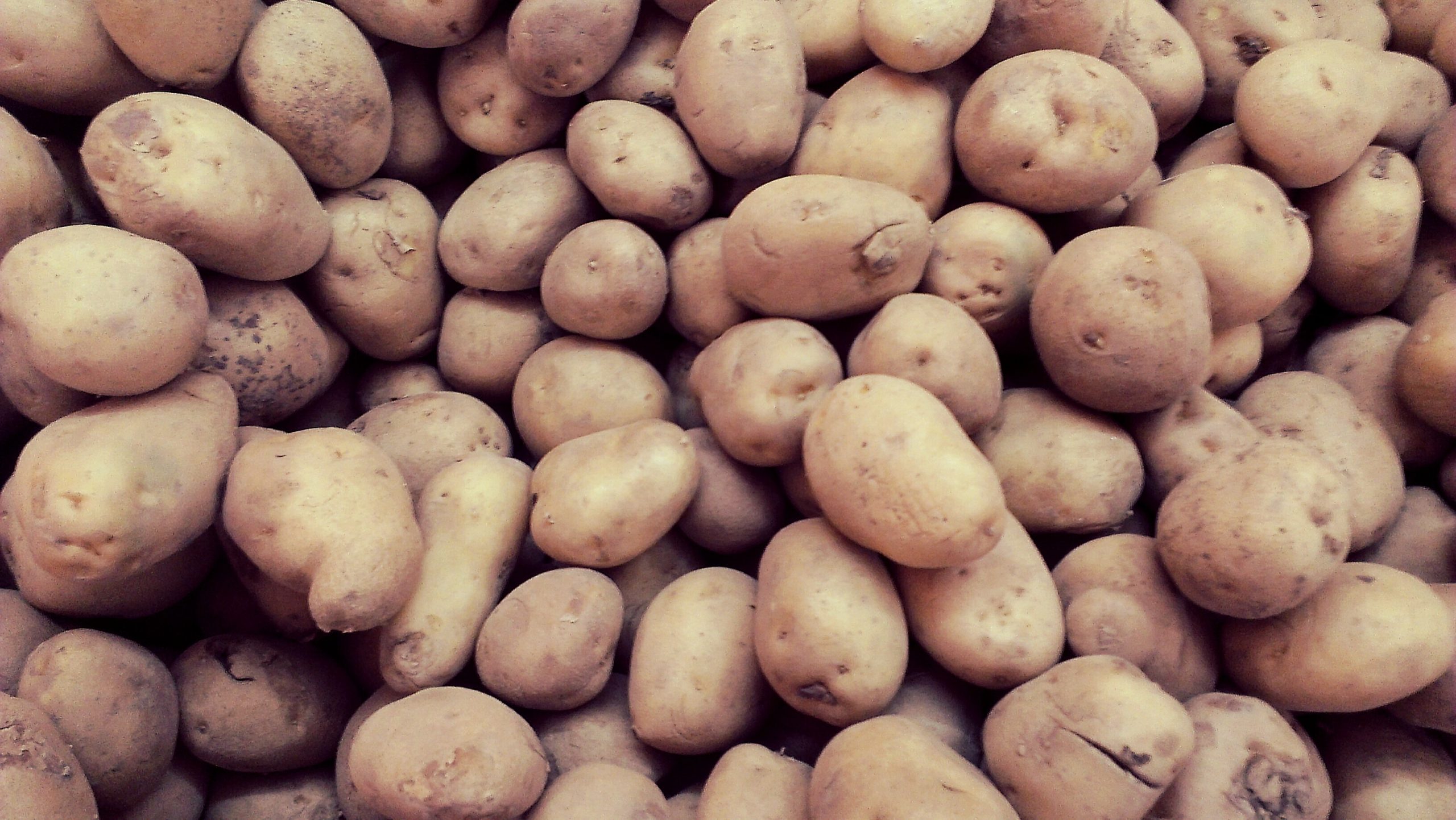 potato extract benefits
