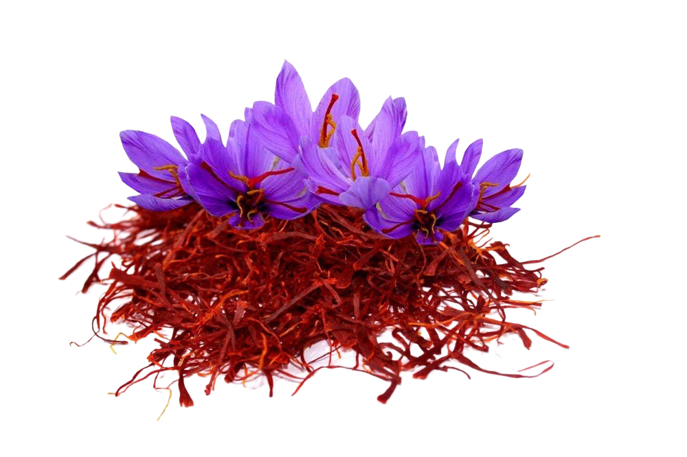 saffron extract health benefits